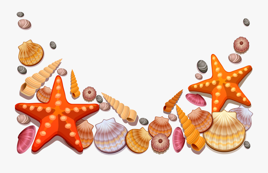 Starfish Seashell Clip Art Vector Transprent Free Transparent - Sea Shells Vector Png, Transparent Clipart