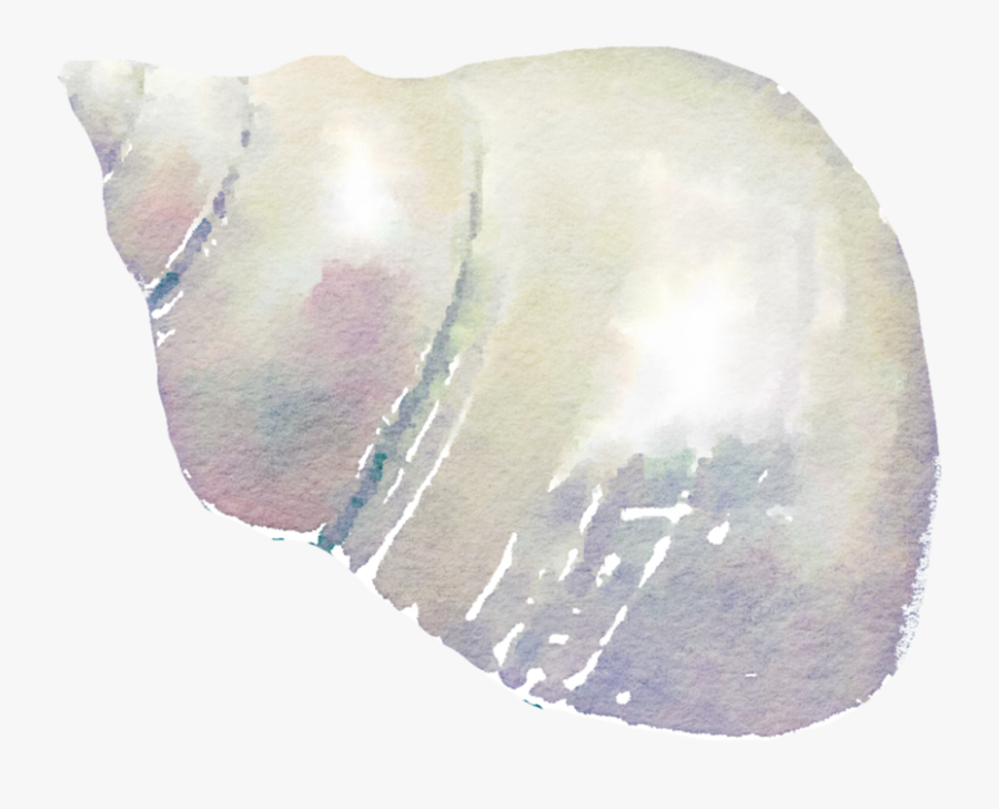 Seashell Png High-quality Image - Sea Shell Watercolor Png, Transparent Clipart