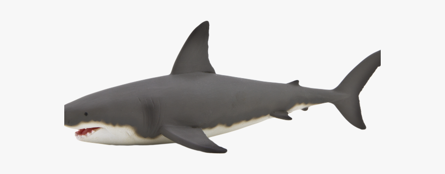 Mako Shark Clipart - Transparent Background Shark Png, Transparent Clipart