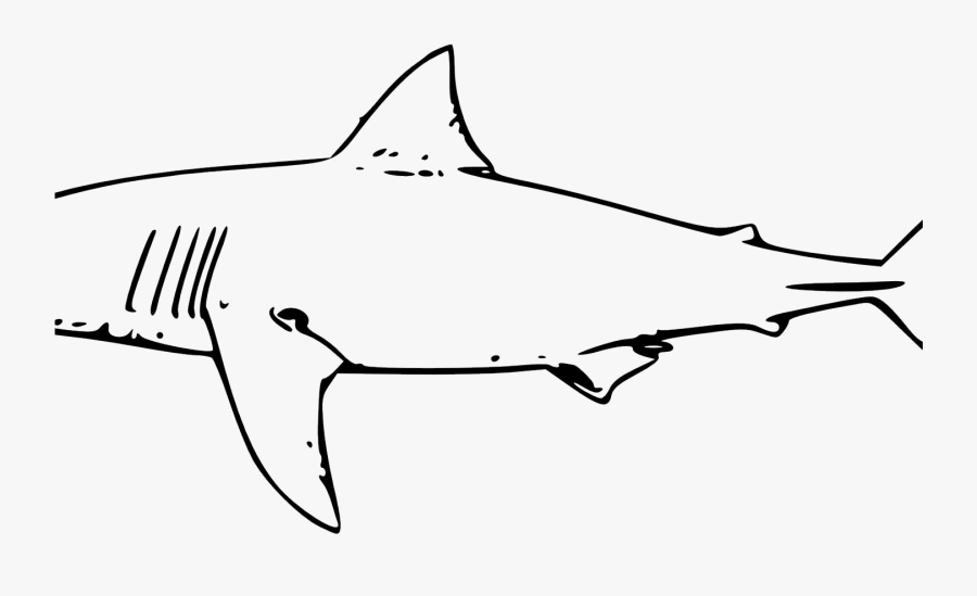 Great White Shark Clipart - Great White Shark Clip Art, Transparent Clipart