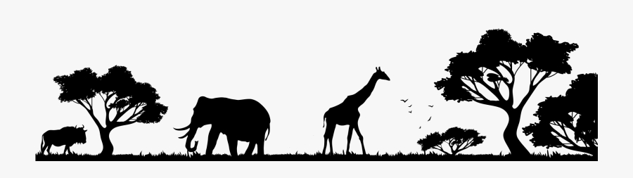 Giraffe, Transparent Clipart