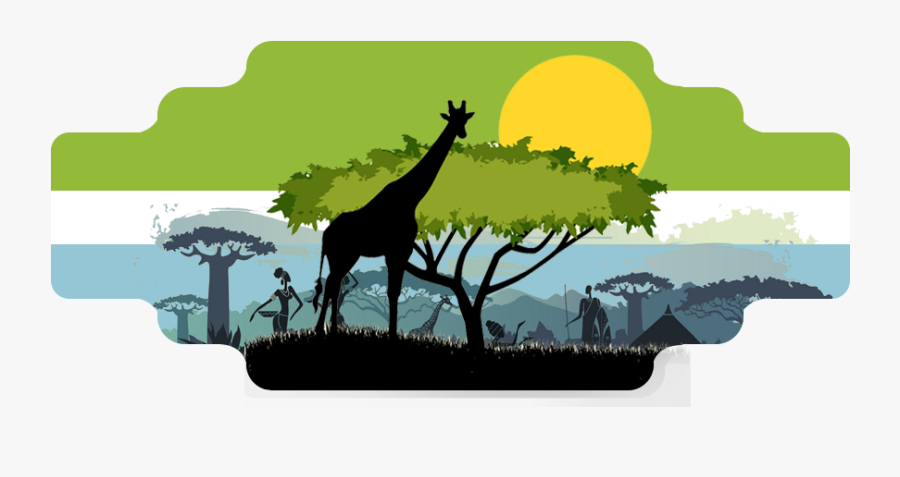 Giraffe, Transparent Clipart