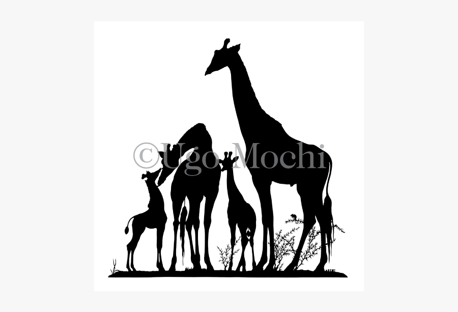 African Giraffes No - Illustration, Transparent Clipart