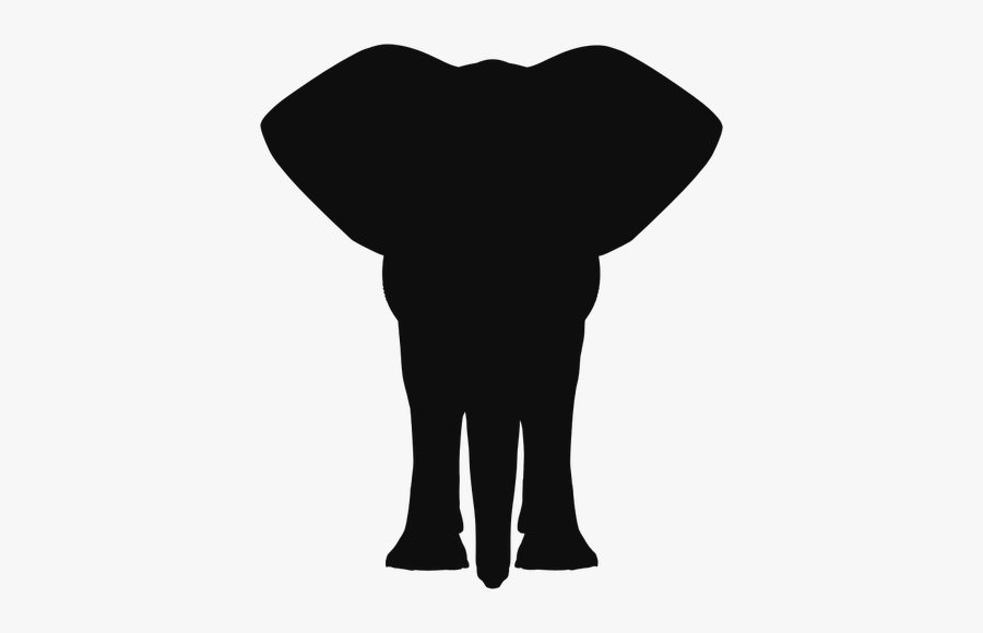 Elephant Front View Vector, Transparent Clipart