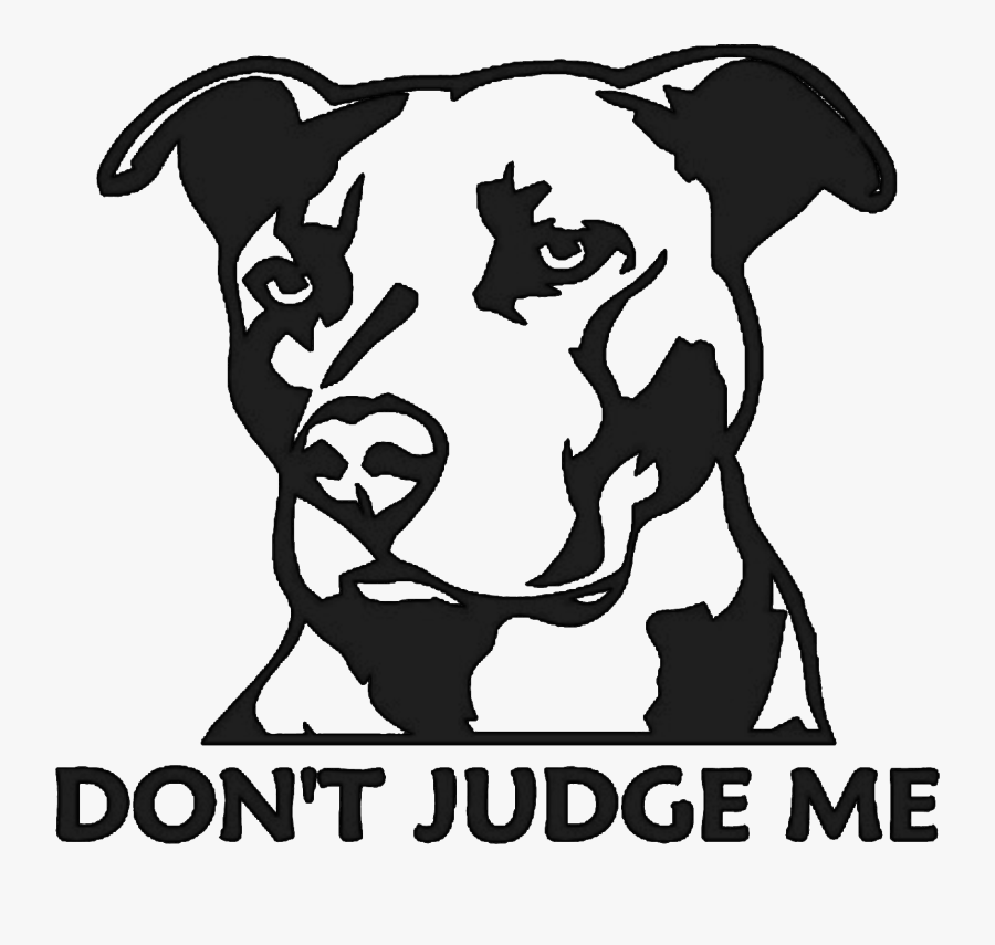 Dont Judge Me Pitbull, Transparent Clipart