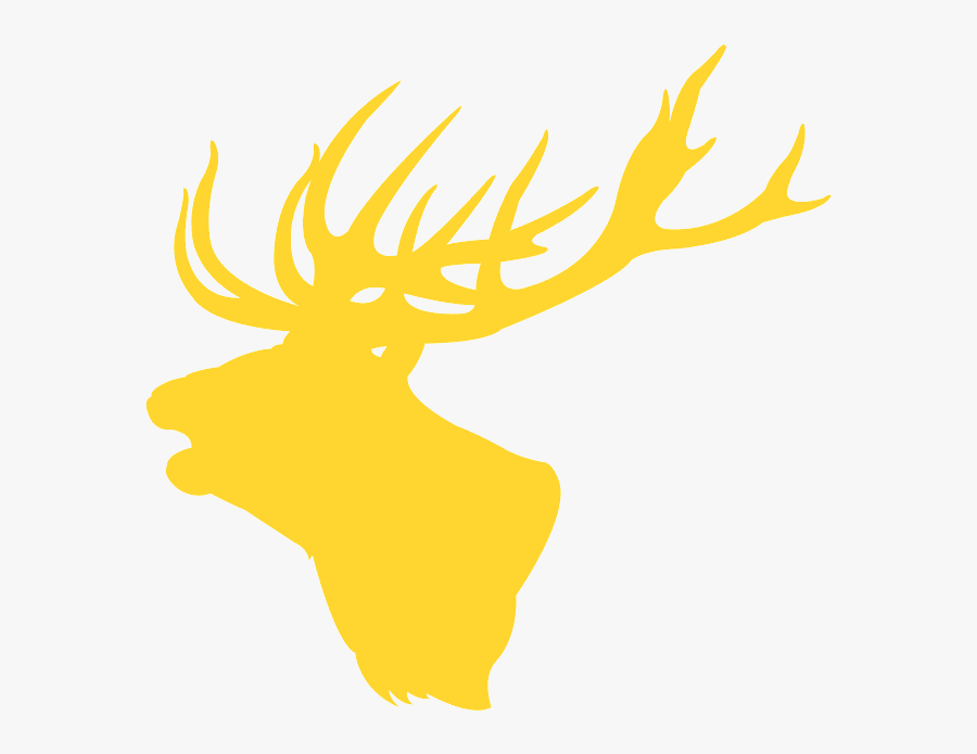 Antler, Transparent Clipart