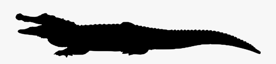 Alligator Vector Silhouette Free, Transparent Clipart