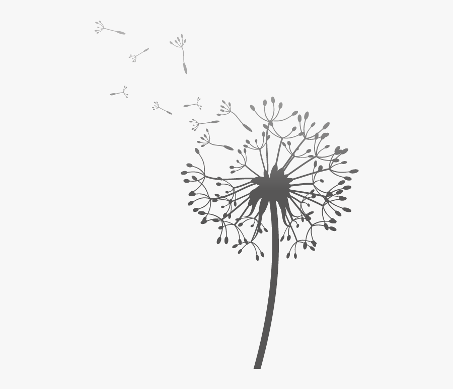 Drawn Dandelion Transparent - Dibujar Diente De Leon Dibujo, Transparent Clipart