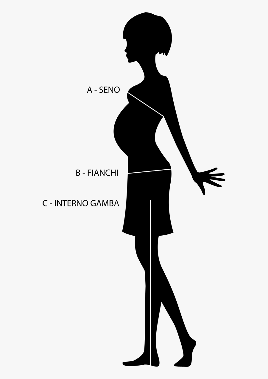Guida Alle Taglie - Silhouette, Transparent Clipart