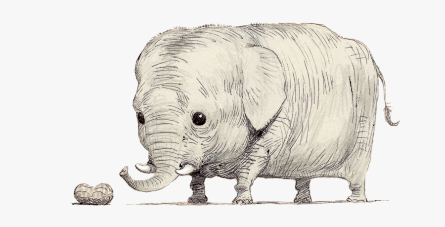 Clip Art Rhinoceros Riding An Shooting - Cute Elephant Illustration, Transparent Clipart