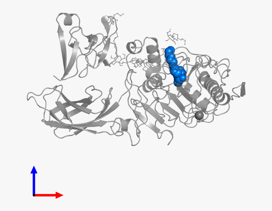 Graphic Design, Transparent Clipart