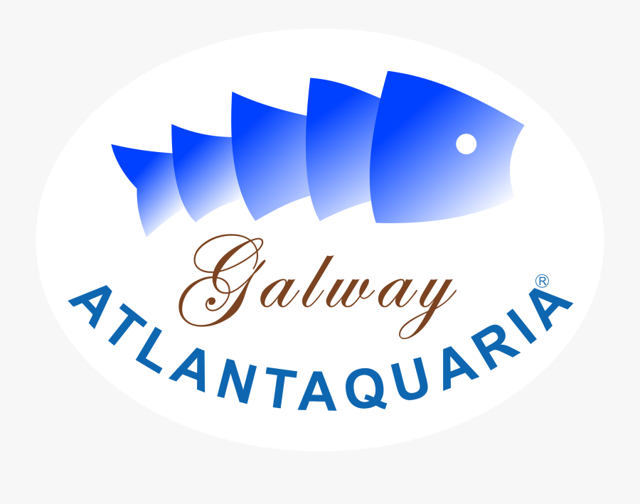 Galway Atlantaquaria Logos - Circle, Transparent Clipart