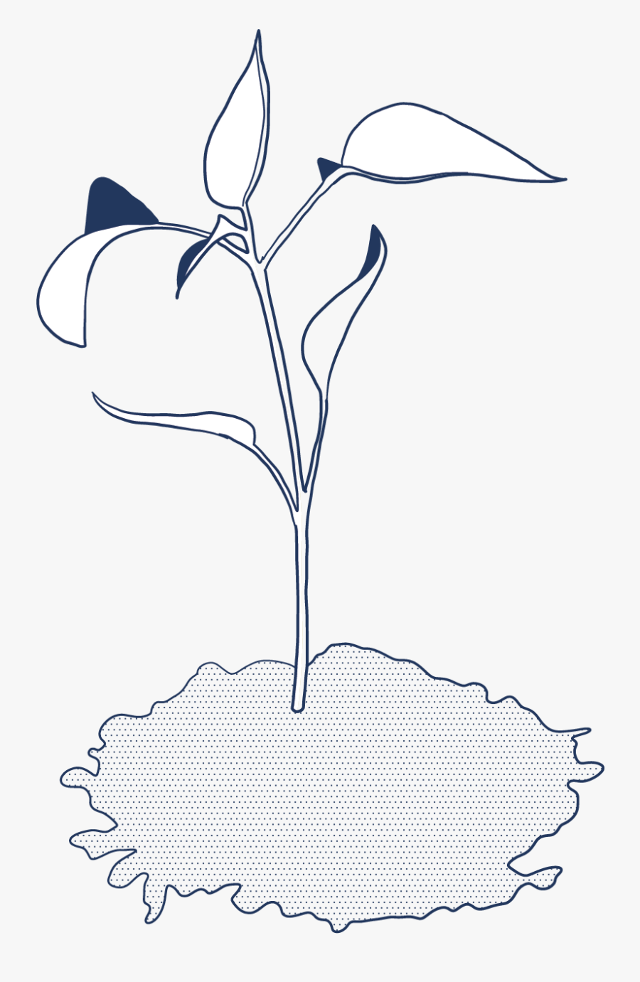 Sketch, Transparent Clipart