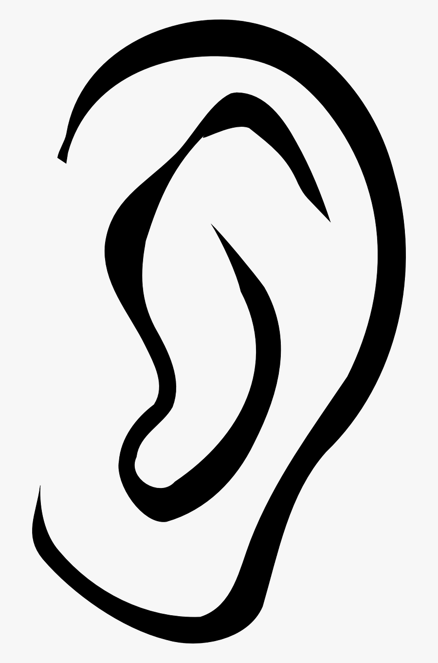 Activating Prior Knowledge Emints - Ears Clipart Black And White, Transparent Clipart