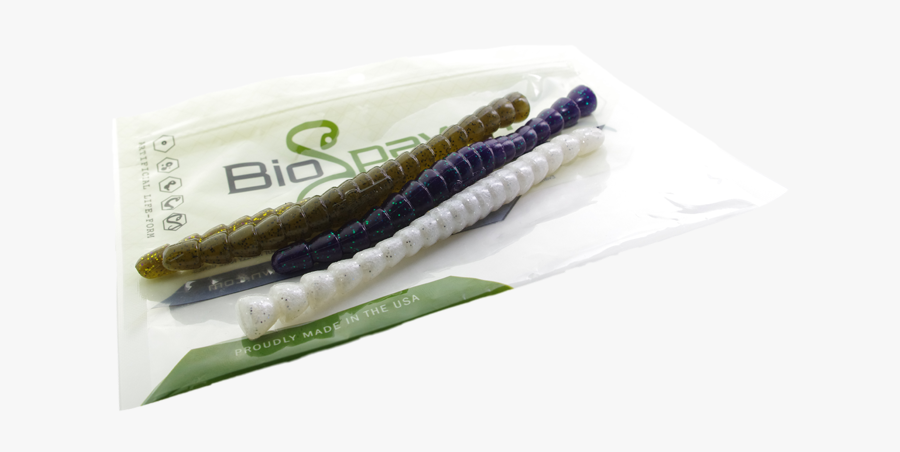 Exostick - Invertebrate, Transparent Clipart