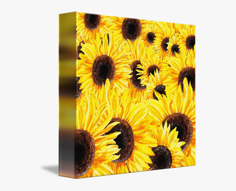 Sunflowers Png Simple Watercolor - Water Color Sunflowers Painting, Transparent Clipart