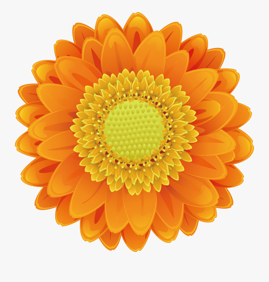 Drawing Cartoon Transprent Png - Orange Flower Clip Art, Transparent Clipart
