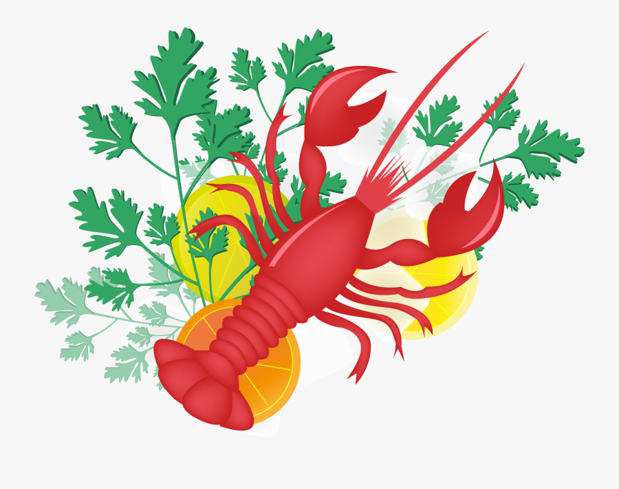 Lobster Palinurus Clip Art - Illustration, Transparent Clipart
