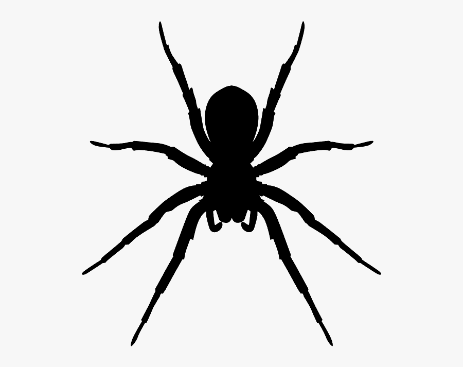 Spiders In Las Vegas, Transparent Clipart