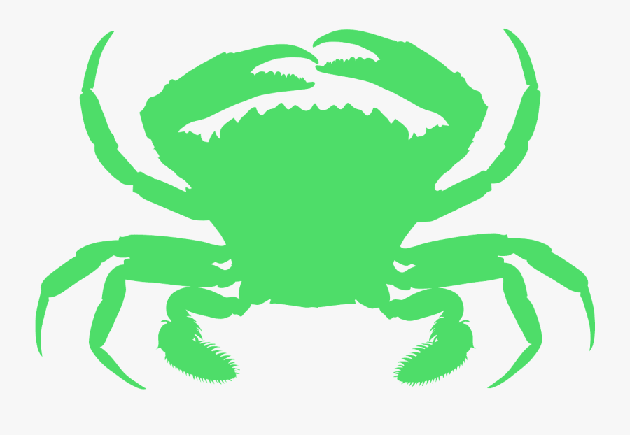 Animals Live In Water And Land, Transparent Clipart