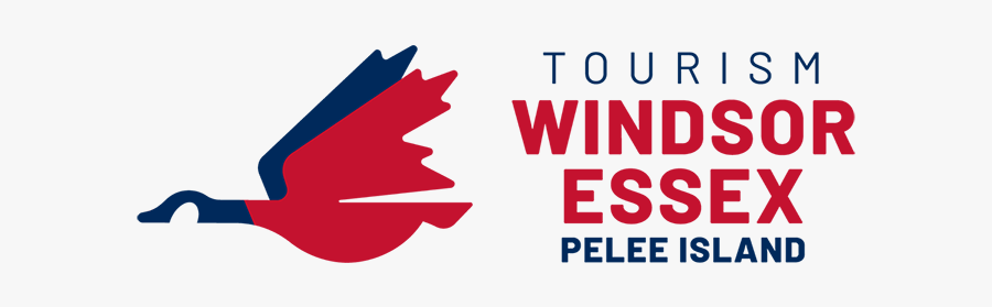 Graphic Design, Transparent Clipart