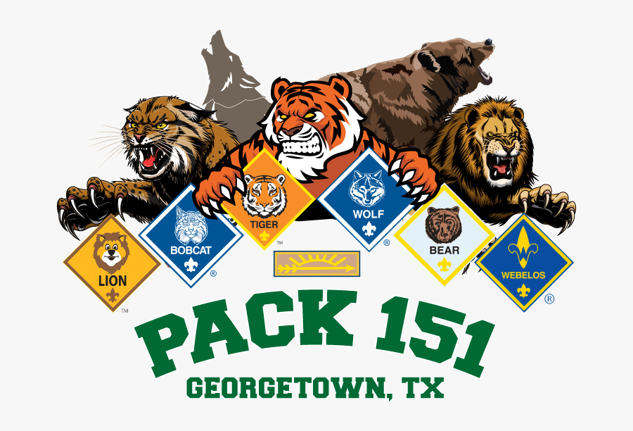 Siberian Tiger, Transparent Clipart