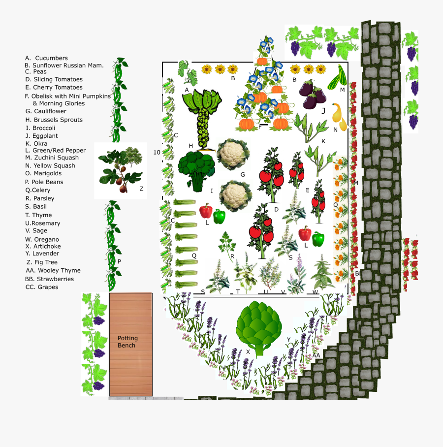 Text4128 - Fig Tree, Transparent Clipart