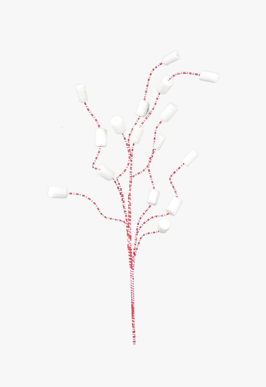 Twig, Transparent Clipart