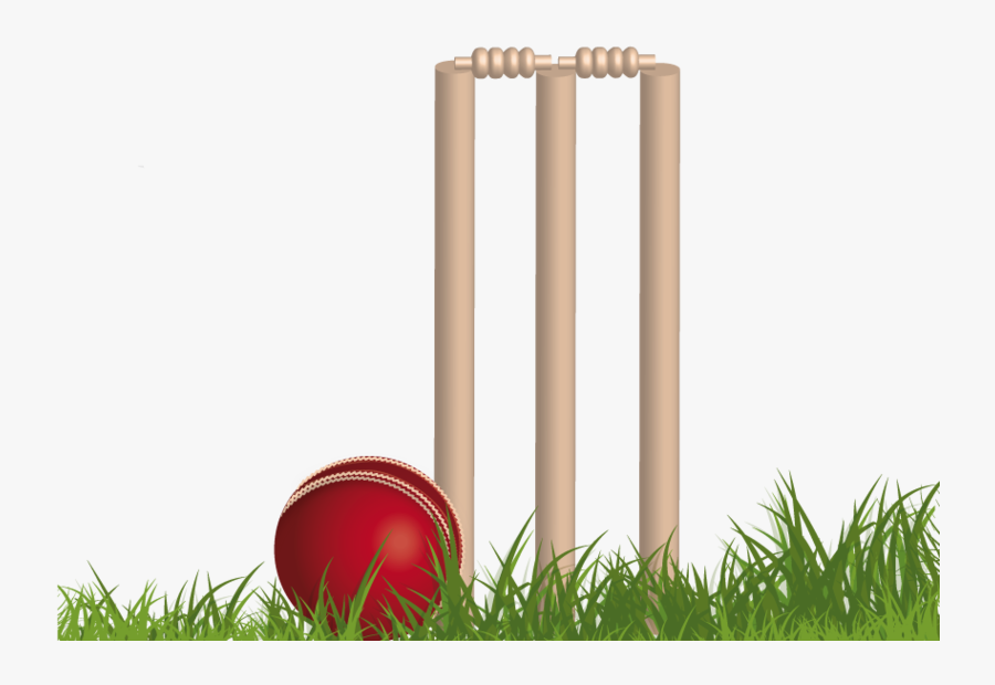 Cricket Png Background Image - Background Cricket Images Png, Transparent Clipart
