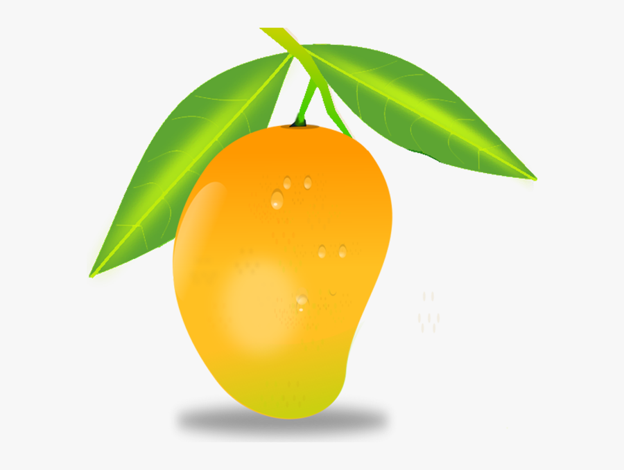 Mango Clipart Wallpaper - Mango Png, Transparent Clipart