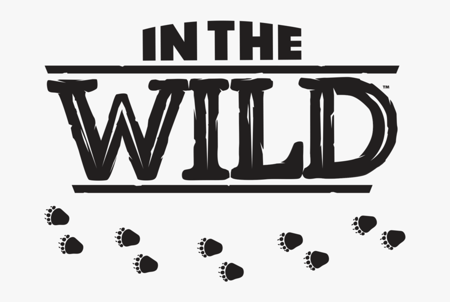 Graphic Design, Transparent Clipart