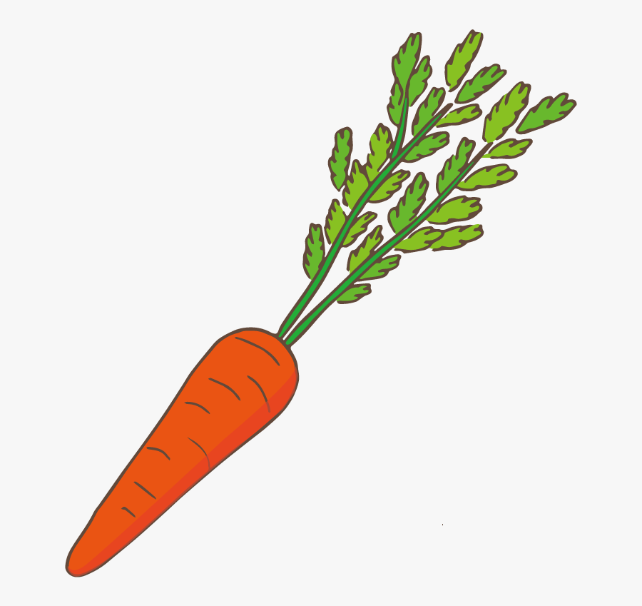 Zanahoria - Clipart Wortel, Transparent Clipart
