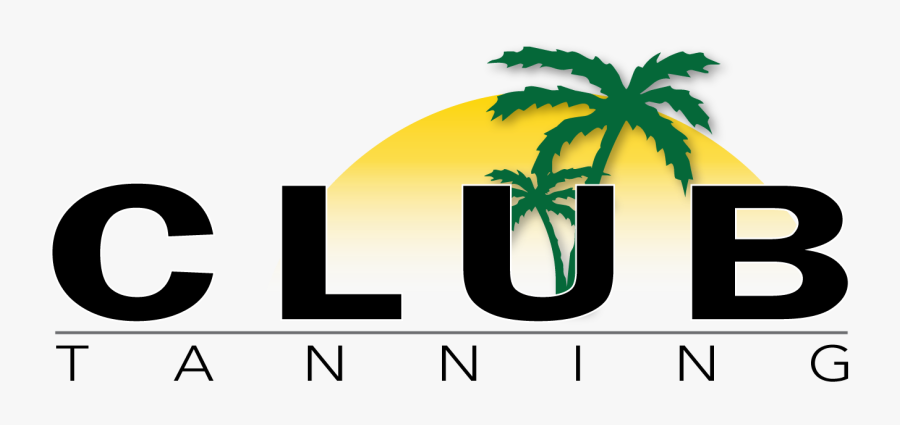 Tanning Salon In Tempe - Palm Tree Clip Art, Transparent Clipart