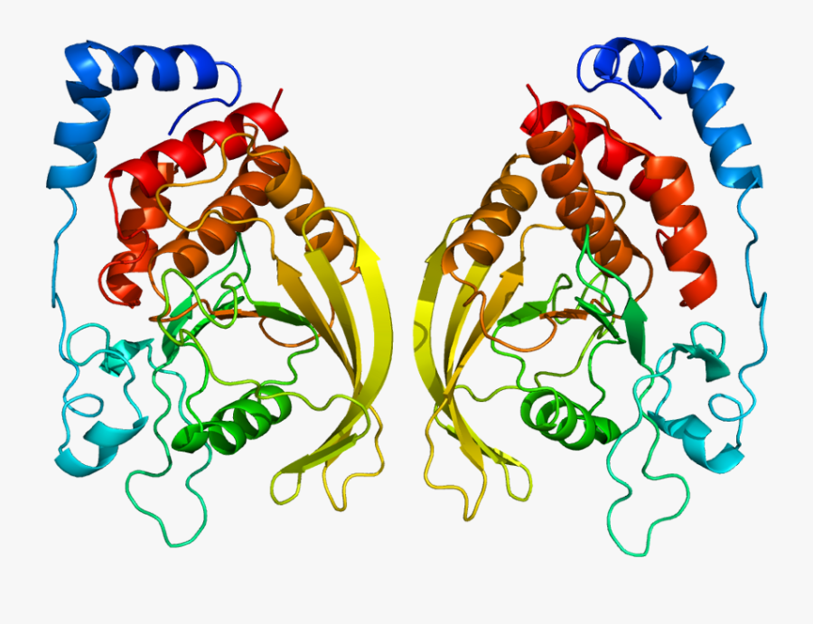Caveolin Protein Structure Clipart , Png Download - Caveolin Pdb, Transparent Clipart