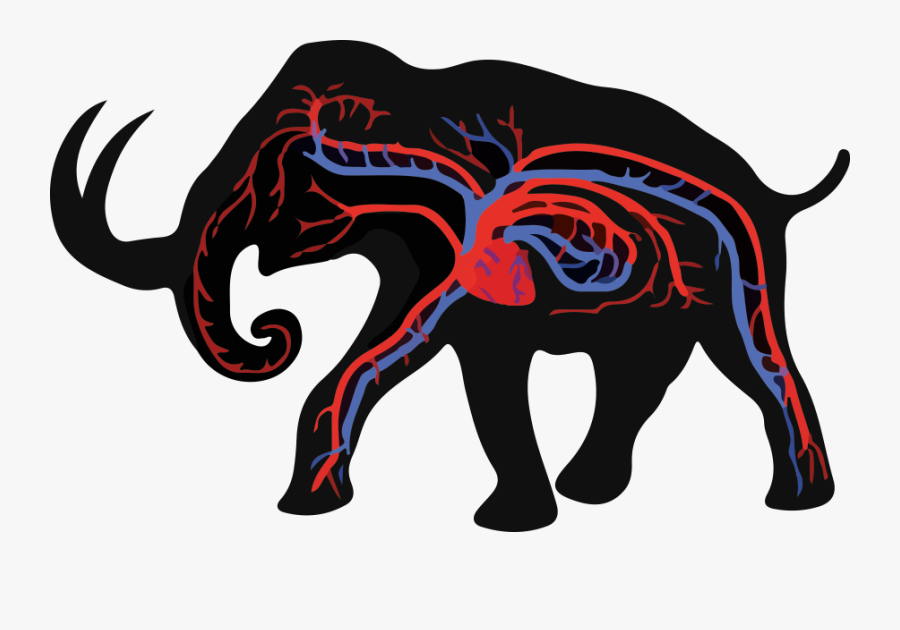 Red Blood Cells Of Elephant, Transparent Clipart