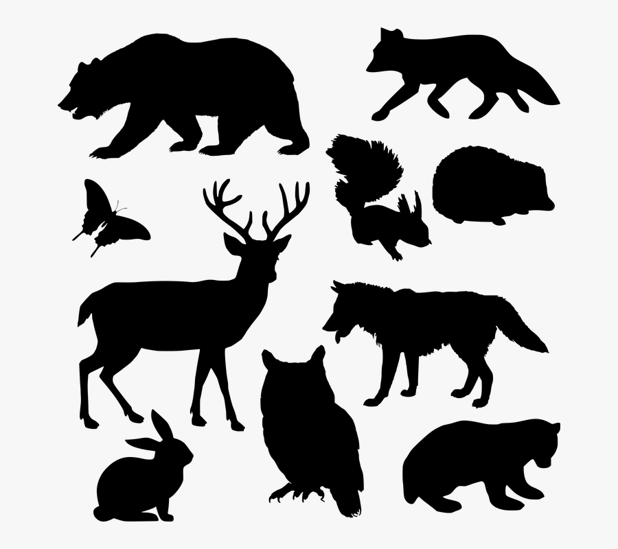 Transparent Fall Animals Clipart - Silhouette Of Animals Png, Transparent Clipart