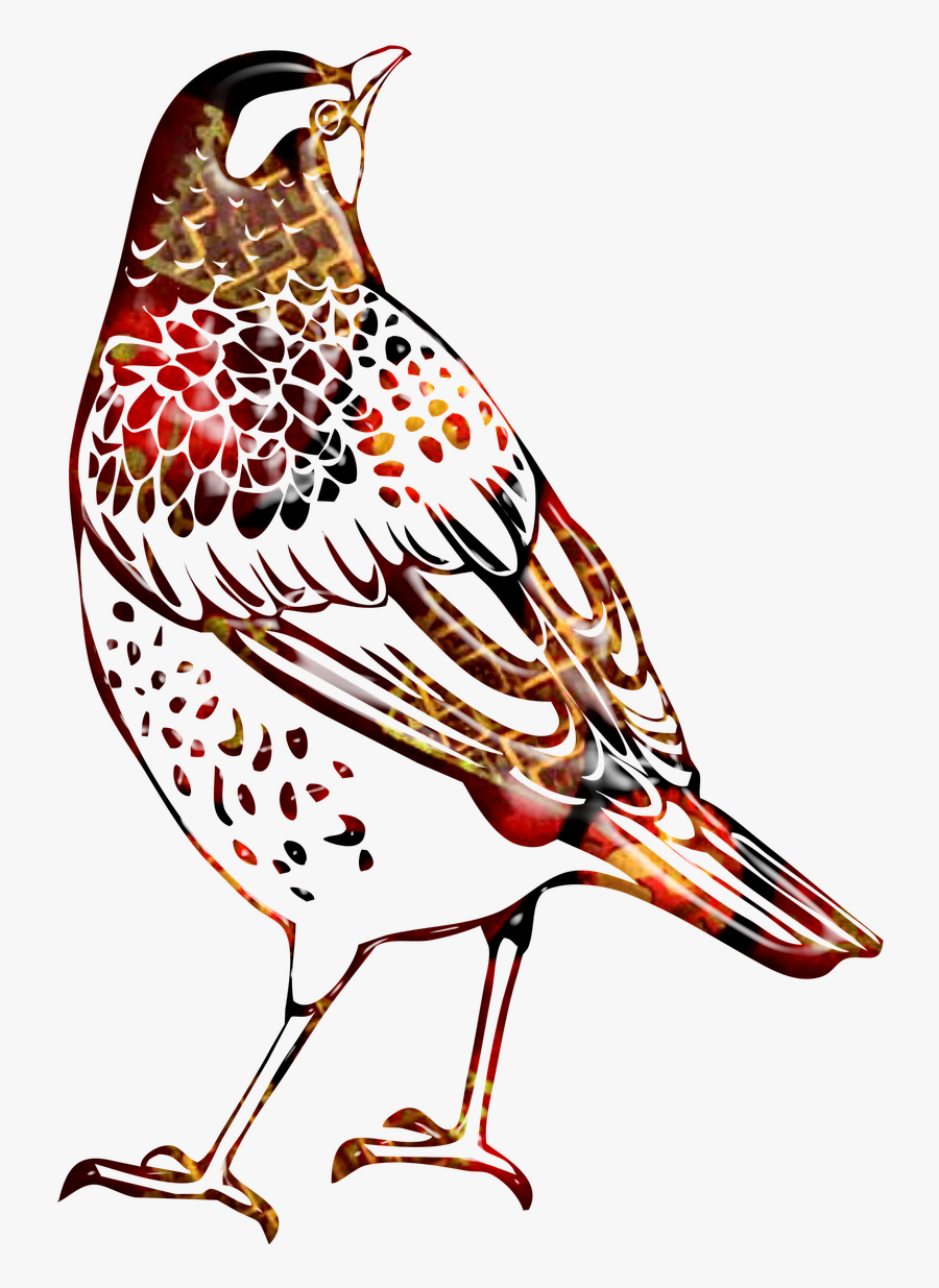 Bird Outline Bird Abstract Multicolor Free Picture - Bird, Transparent Clipart