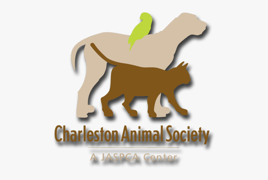 Charleston Animal Society, Transparent Clipart