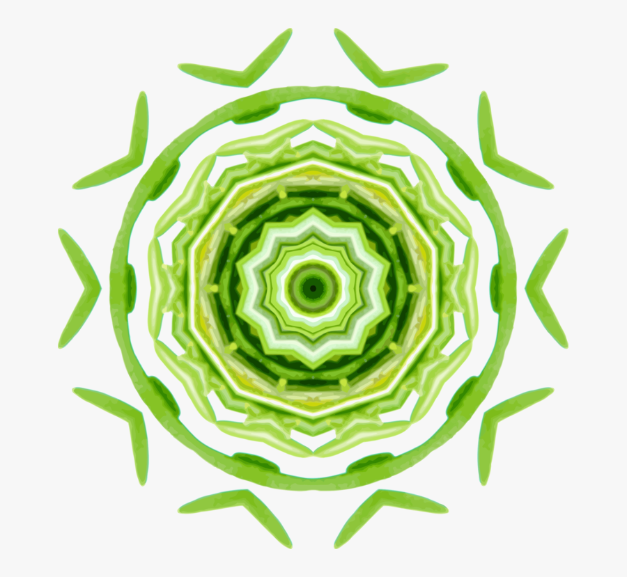 Plant,flower,symmetry - Circle, Transparent Clipart