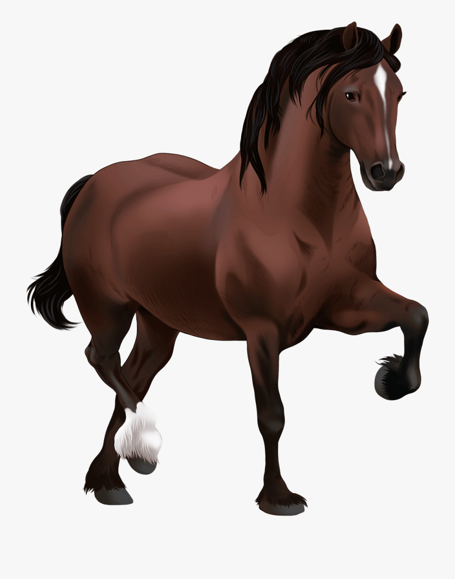 Stallion, Transparent Clipart