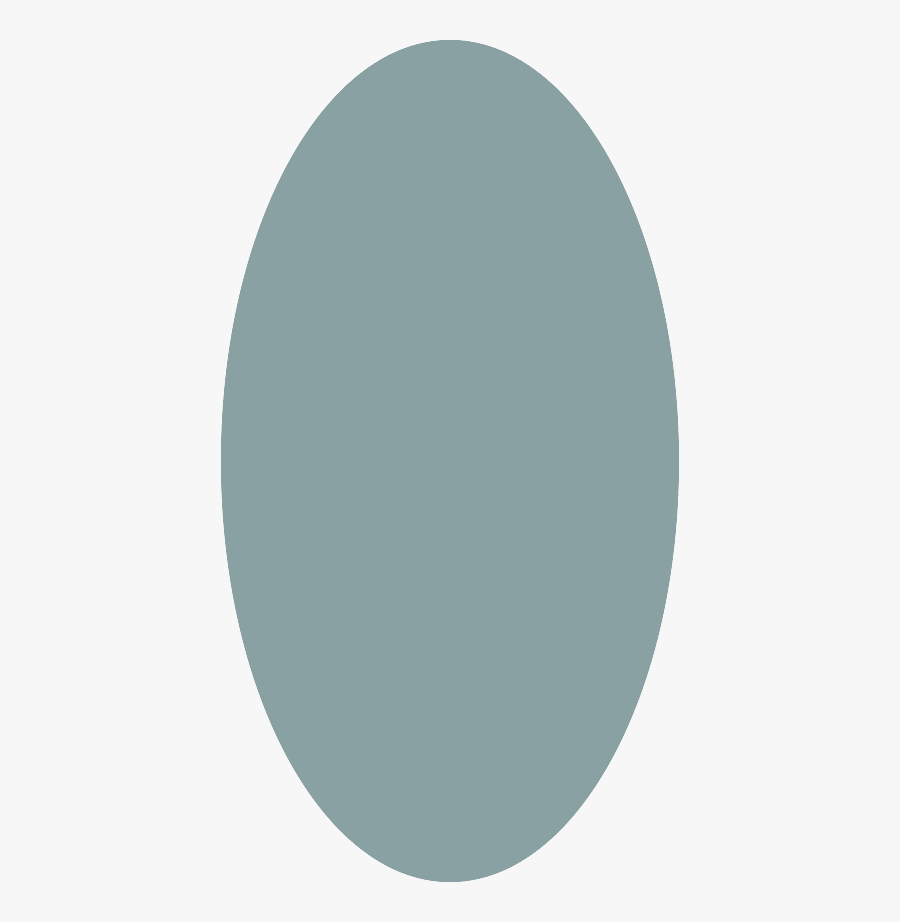 Oval - Circle, Transparent Clipart