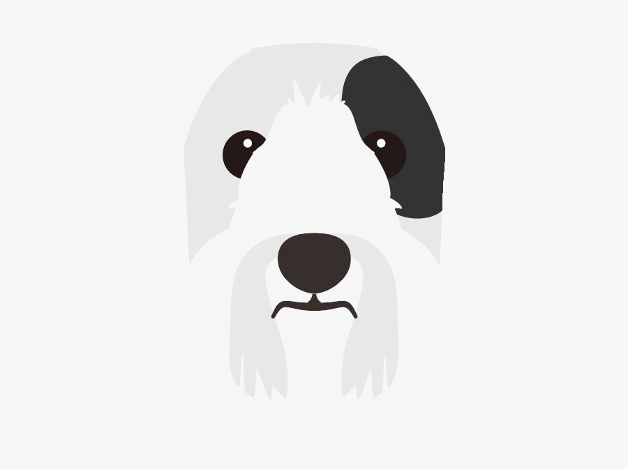 Brazilian Terrier, Transparent Clipart