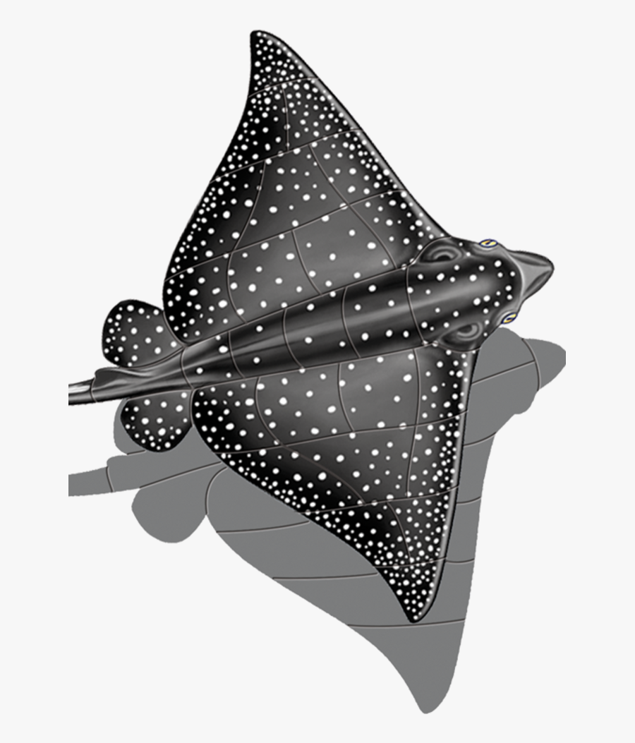 Realistic Spotted Eagle Ray Drawing, Transparent Clipart