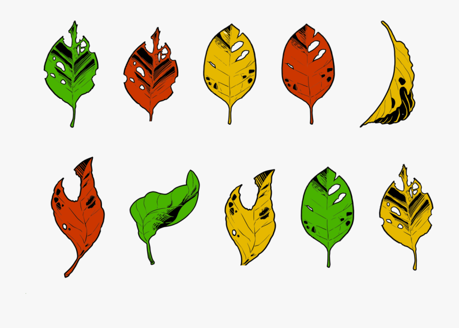 Botany,plant,leaf, Transparent Clipart