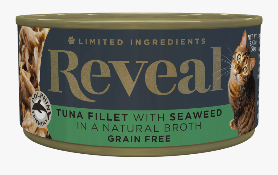 Kitten, Transparent Clipart