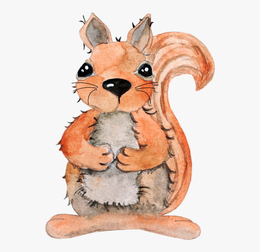 Eurasian Red Squirrel, Transparent Clipart