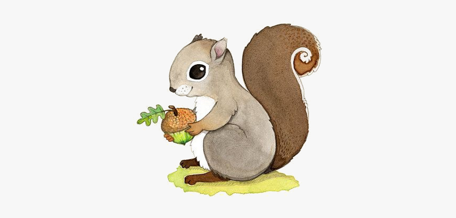 Ecureuils Children Pinterest Kawaii - Cute Woodland Animal Drawings, Transparent Clipart
