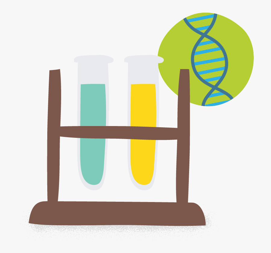 Test Tubes Testing Dna"
 Class="wcs-image, Transparent Clipart