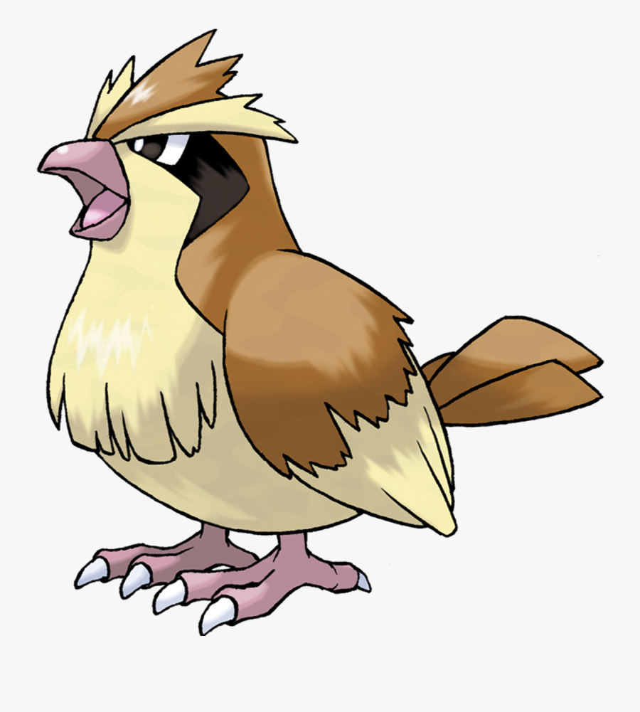 Pokemon Pidgey Evolution, Transparent Clipart