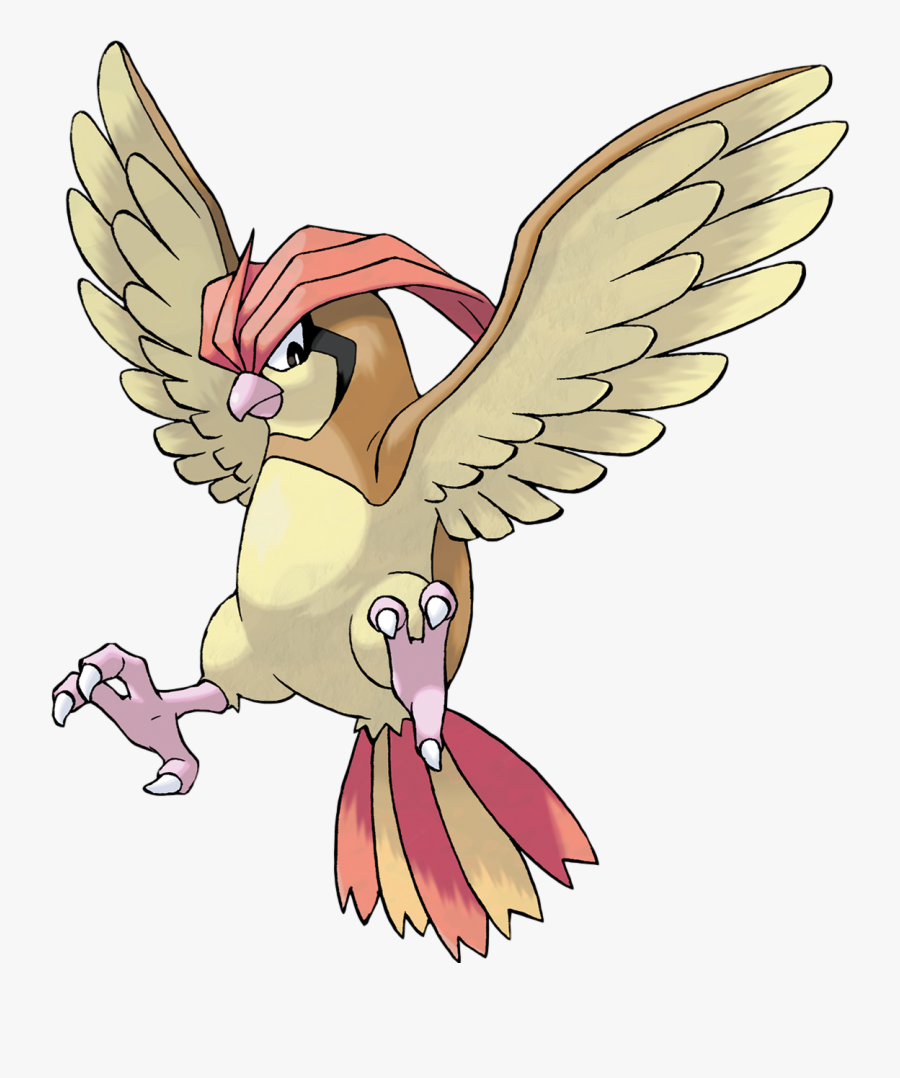 Pokemon Pidgeotto, Transparent Clipart